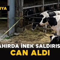 Asayiş