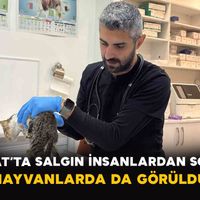 Gündem