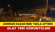 Ahırdan Kaçan İnek Kazaya Neden Oldu: Olay Yeri Görüntüleri