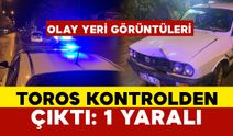 Otomobil ağaca çarptı: 1 yaralı OLAY YERİ GÖRÜNTÜLERİ