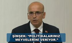 Şimşek: “Politikalarımız Meyvelerini Veriyor.”