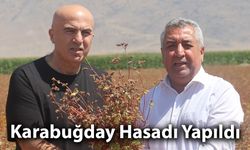 Karabuğday Hasadı Yapıldı