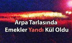 Arpa Tarlasında Emekler Yandı Kül Oldu