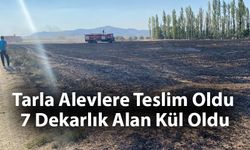 Tarla Alevlere Teslim Oldu 7 Dekarlık Alan Kül Oldu