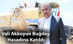 Vali Akkoyun Buğday Hasadına Katıldı