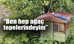 Tatilini Ağacın Üzerine Yaptığı Evde Geçiriyor