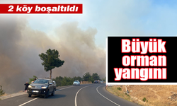 Çanakkale'de Büyük Orman Yangını...2 Köy Boşaltıldı