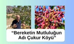 Bereketin Mutluluğun Adı Çukur Köyü