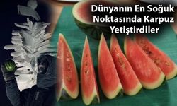 Dünyanın En Soğuk Noktasında Karpuz Yetiştirdiler