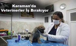 Karaman'da Veterinerler İş Bırakıyor