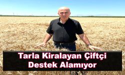 Tarla Kiralayan Çiftçi Destek Alamıyor