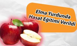 Elma Yurdunda Hasat Eğitimi Verildi