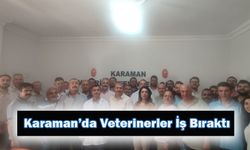 Karaman’da Veterinerler İş Bıraktı