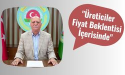 "Üreticiler Fiyat Beklentisi İçerisinde"