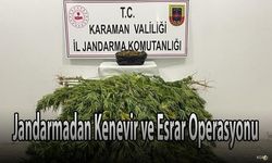Jandarmadan Kenevir ve Esrar Operasyonu