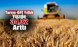 Tarım-GFE Yıllık Yüzde 34,32 Arttı