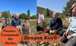 Patates Üretiminde Bir Marka: Zengen Köyü