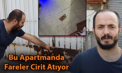 Bu Apartmanda Fareler Cirit Atıyor