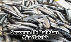 Sezonun İlk Balıkları Ağa Takıldı