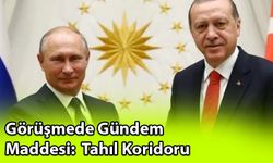 Görüşmede Gündem Maddesi: Tahıl Koridoru