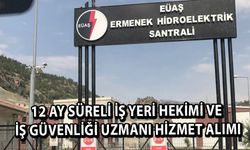 12 AY SÜRELİ İŞ YERİ HEKİMİ VE İŞ GÜVENLİĞİ UZMANI HİZMET ALIMI