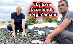 Ekşikara Üzümünde Sergi Zamanı