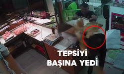 Kasaya Dalan Hırsız Börek Tepsisini Kafaya Yedi