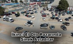 İkinci El Oto Pazarında Sinek Avladılar