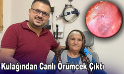 Kulağından Canlı Örümcek Çıktı