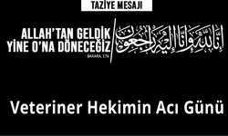 Veteriner Hekimin Acı Günü