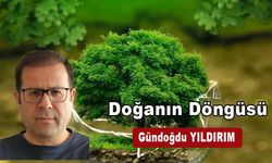 Doğanın Döngüsü