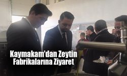 Kaymakam Erdoğan’dan Zeytin Fabrikalarına Ziyaret