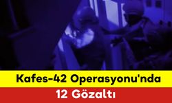 Kafes-42 Operasyonu'nda 12 Gözaltı