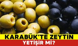 Karabük'te Zeytin Yetişir Mi?