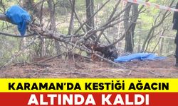 Karaman'da Kestiği Ağacın Altında Kaldı