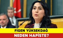 Figen Yüksekdağ Neden Hapiste?