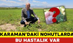 Karaman Ziraat Odası Başkanı Mehmet Bayram’dan Nohut Üreticilerine Önemli Uyarı
