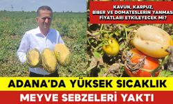 Adana’da Yüksek Sıcaklık Meyve Sebzeleri Yaktı