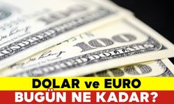 Dolar ve Euro Bugün Ne Kadar 2 Temmuz 2024 Salı Döviz Fiyatları