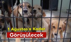 1 Ağustos'a Kadar Görüşülecek