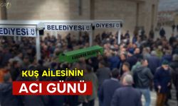 Kuş Ailesinin Acı Günü