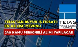 TEİAŞ'tan büyük iş fırsatı: en az lise mezunu 240 kamu personeli alımı yapılacak