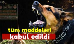 Sokak Hayvanlarına İlişkin Kanun Teklifinde Yeni Gelişme: Tüm Maddeleri Kabul Edildi