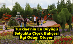 Türkiye'nin En Büyüğü Selçuklu Çiçek Bahçesi İlgi Odağı Oluyor