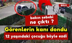 12 Yaşındaki Çocuğu Böyle Ezdi