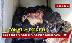 1.5 Ton At ve Eşek Eti Yakalatan Şahsın Savunması Şok Etti