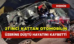 21'inci Kattan Otomobilin Üzerine Düştü Hayatını Kaybetti