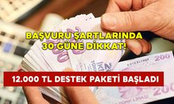 Başvuru Şartlarında 30 Güne Dikkat! 12.000 TL Destek Paketi Başladı