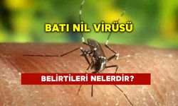 Batı Nil Virüsü Belirtileri Nelerdir?