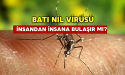 Batı Nil Virüsü İnsandan İnsana Bulaşır Mı?